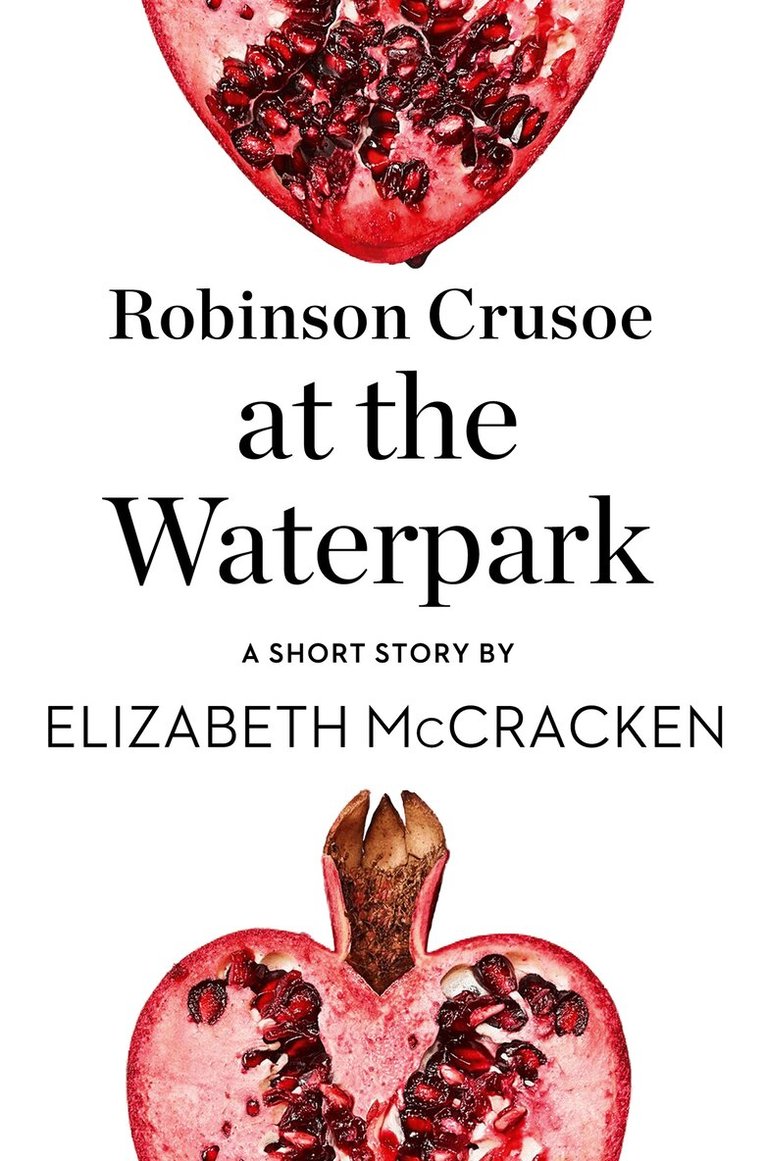 Elizabeth McCracken - Robinson Crusoe at the Waterpark, E-bok