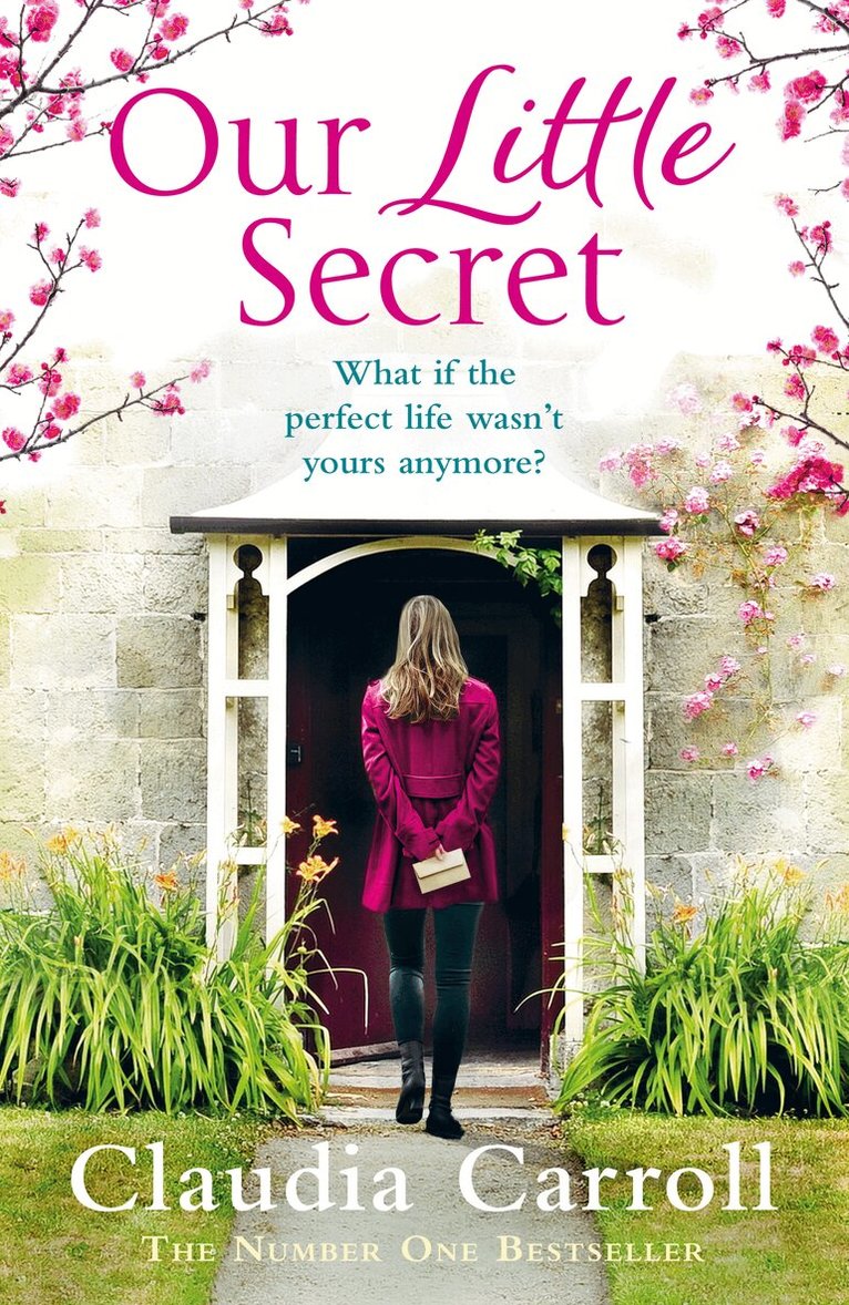 Claudia Carroll - Our Little Secret, E-bok