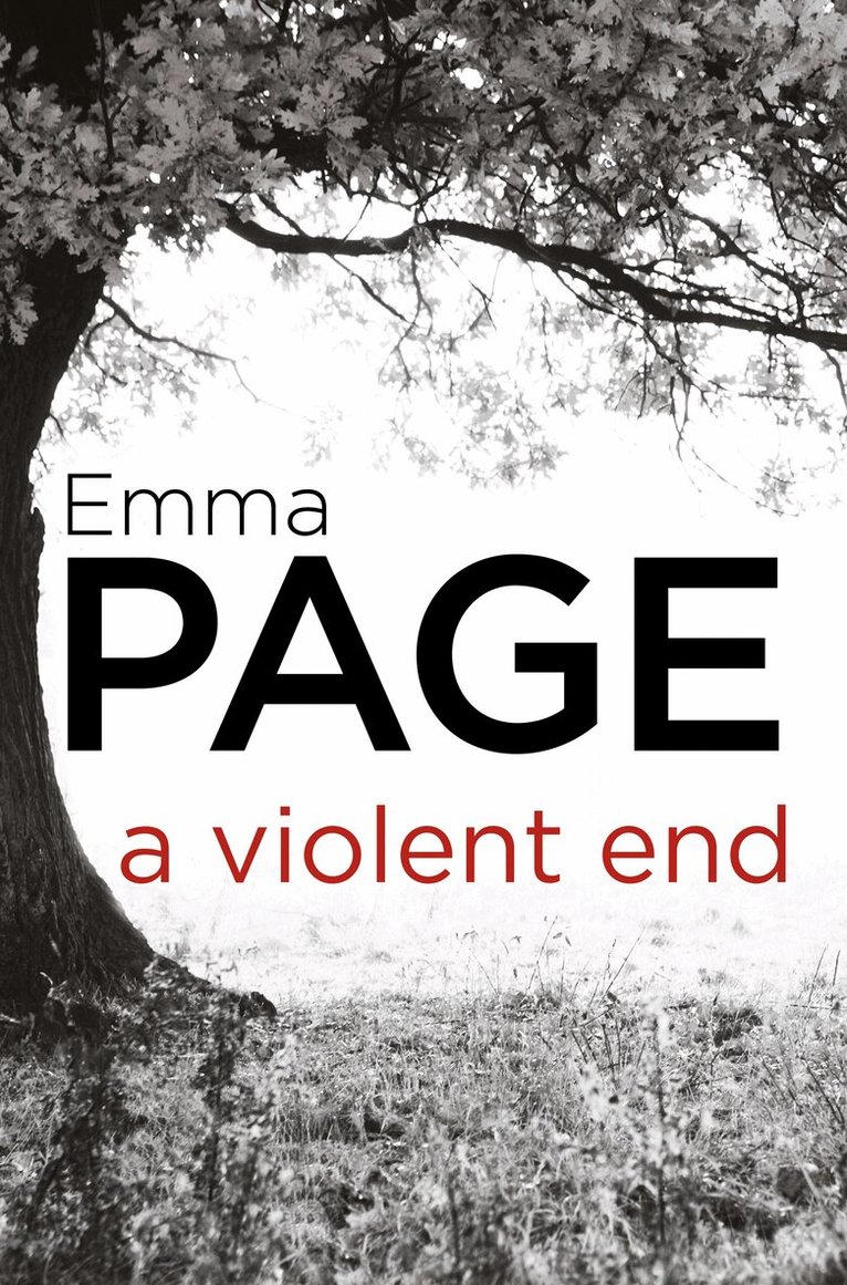 Emma Page - Violent End, E-bok
