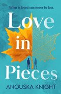Love in Pieces