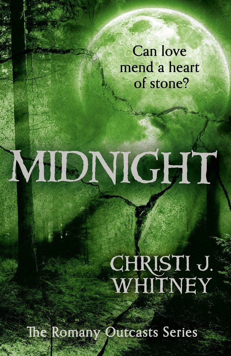 Christi J. Whitney - Midnight, Häftad. Tillgänglighet: Lägg i varukorg