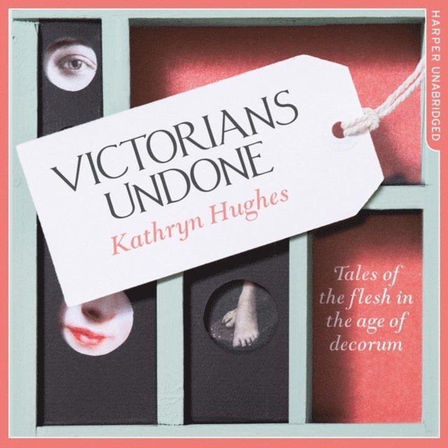 Kathryn Hughes - Victorians Undone, Ljudbok