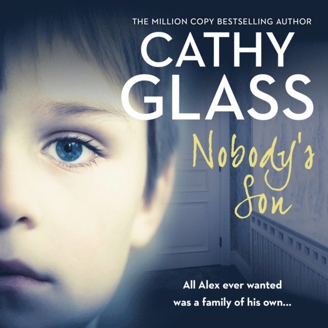 Cathy Glass - Nobody's Son, Ljudbok