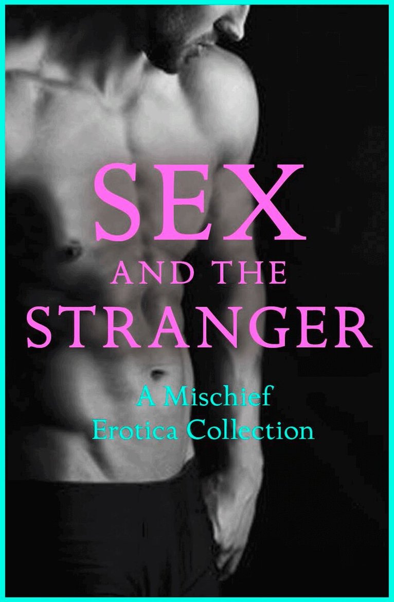 Senta Holland, Justine Elyot, Rose de Fer, Ludivine Bonneur, Kathleen Tudor, Tabitha Rayne, Heather Towne, Giselle Renarde, Olivia London - Sex and the Stranger 2, E-bok