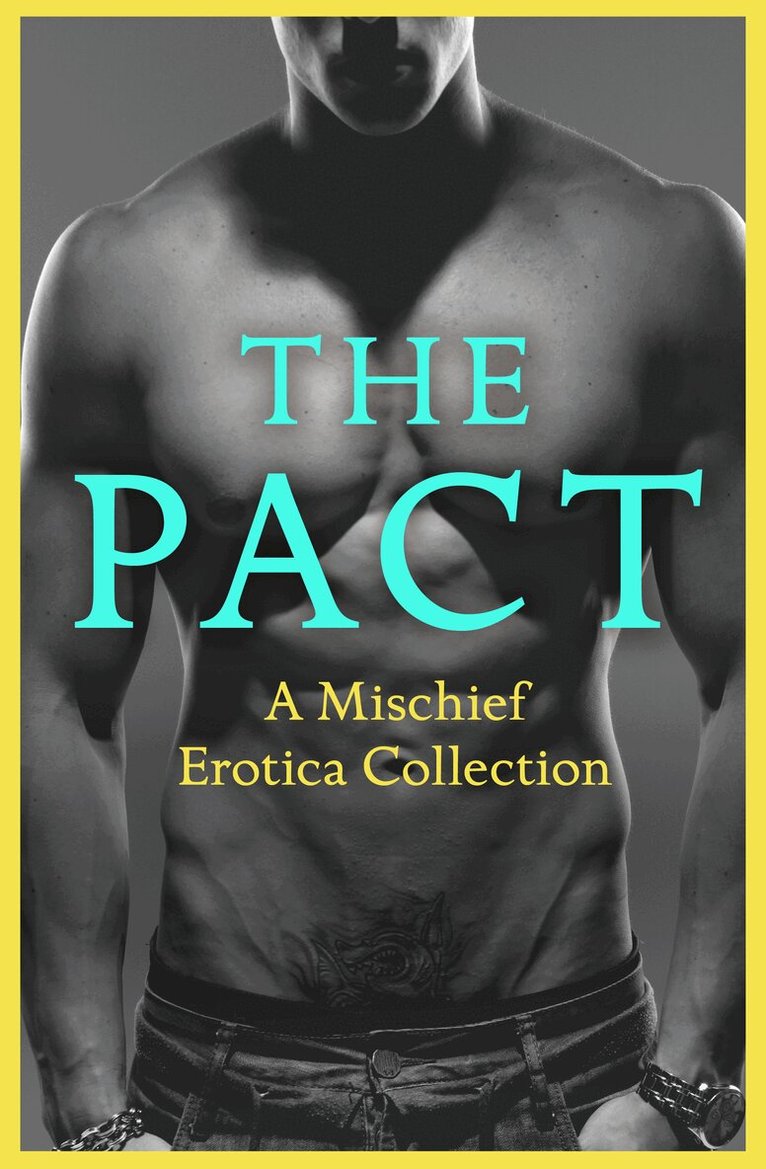 Justine Elyot, Rose de Fer, Ashley Hind, Willow Sears, Lily Harlem, Kathleen Tudor, Heather Towne, Giselle Renarde - Pact, E-bok