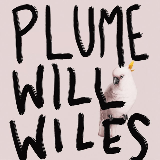Will Wiles - Plume, Ljudbok