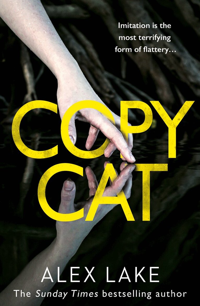 Alex Lake - Copycat, E-bok