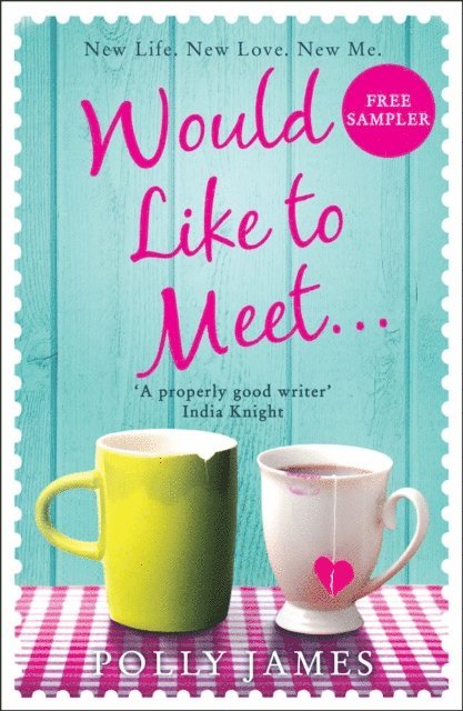 Polly James - Would Like to Meet (free sampler), E-bok