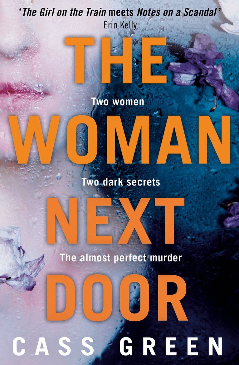 Cass Green - Woman Next Door, E-bok