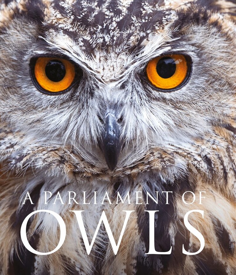 Mike Unwin - Parliament of Owls, Inbunden