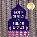 Erotic Stories for Punjabi Widows