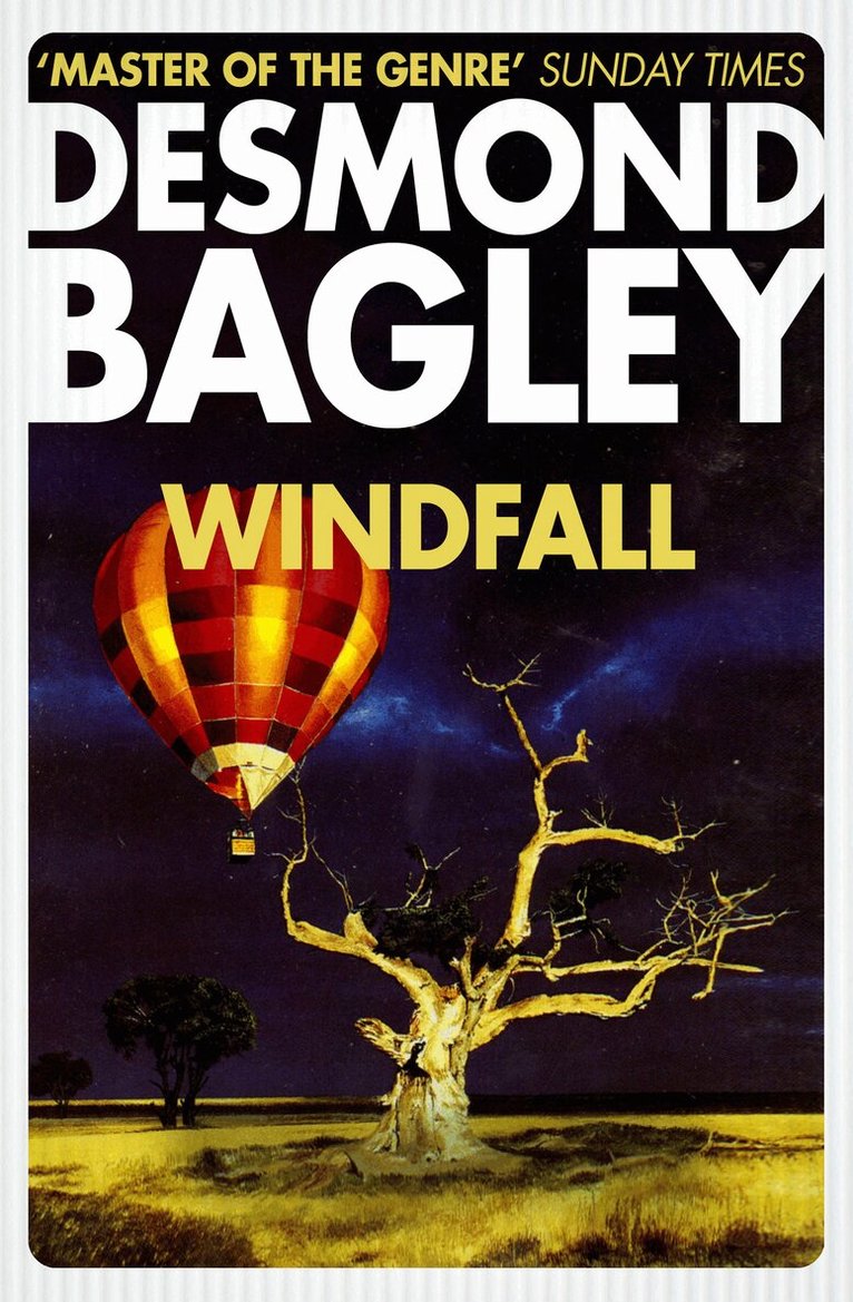 Desmond Bagley - Windfall, E-bok