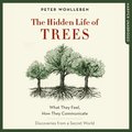 HIDDEN LIFE OF TREES- UNABR EA