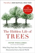 Hidden Life of Trees: What They Feel, How They Communicate