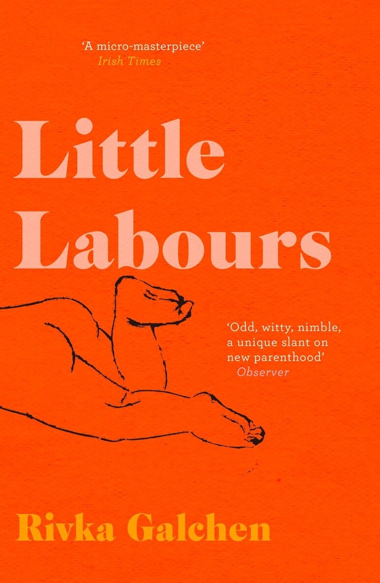 Rivka Galchen - Little Labours, E-bok
