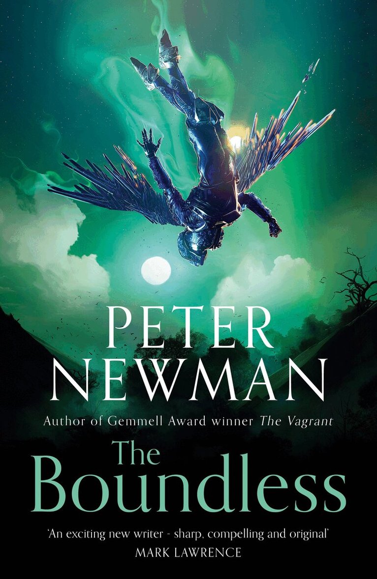 Peter Newman - Boundless, E-bok