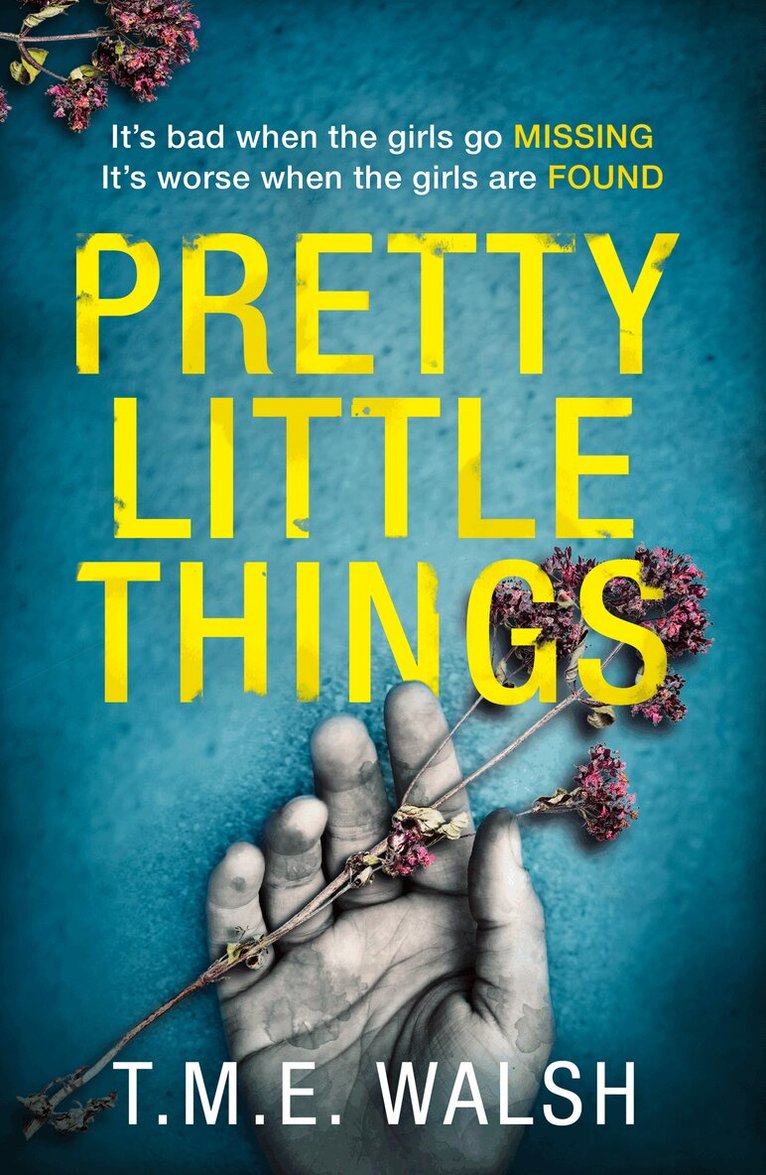T.M.E. Walsh - Pretty Little Things, E-bok