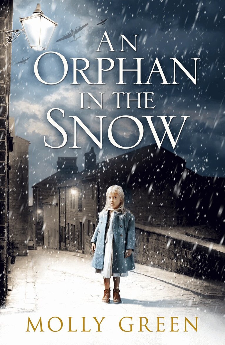 Molly Green - Orphan in the Snow, E-bok