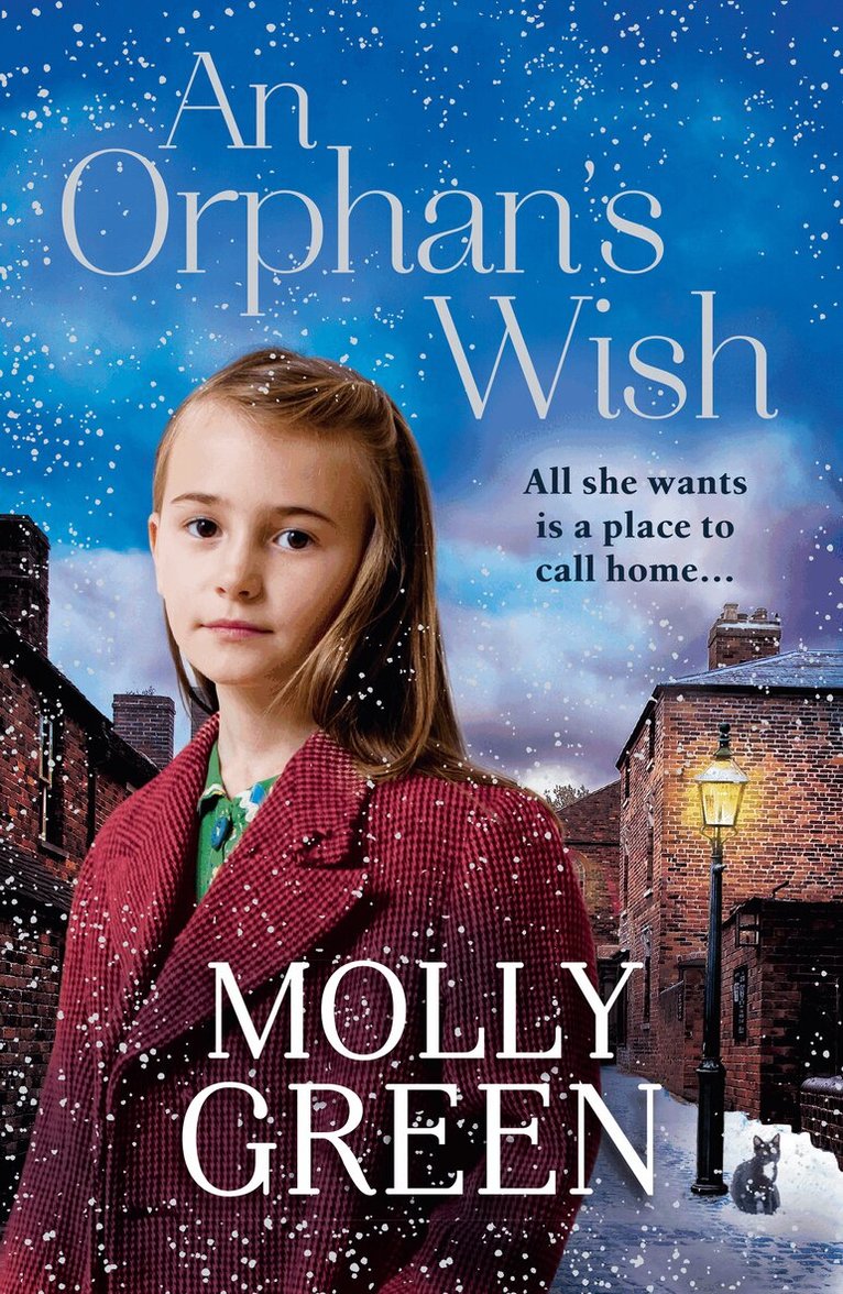 Molly Green - Orphan’s Wish, E-bok