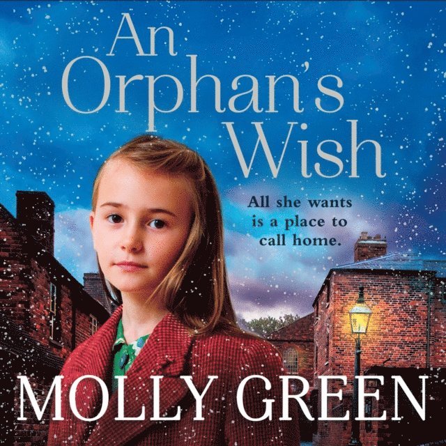 Molly Green - Orphan's Wish, Ljudbok
