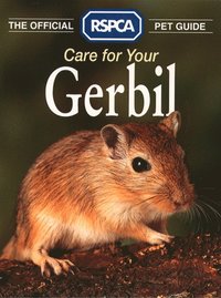 Care for your Gerbil
