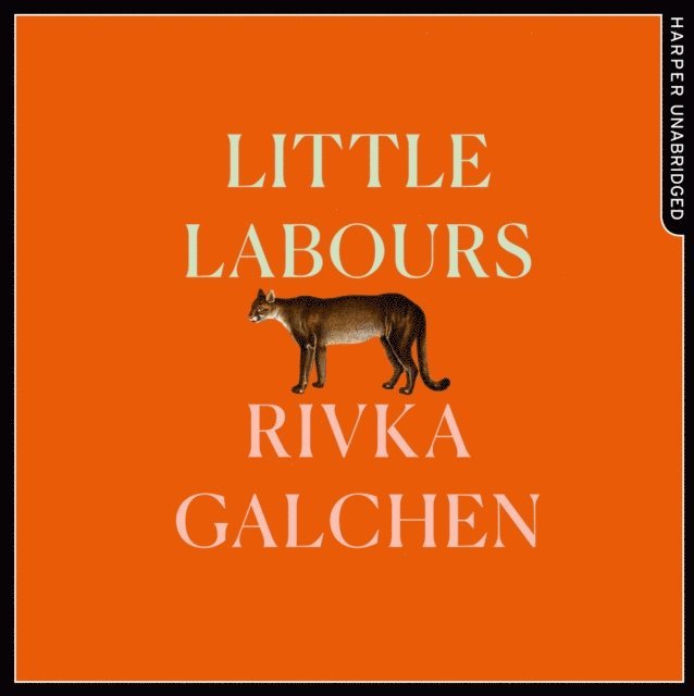 Rivka Galchen - Little Labours, Ljudbok
