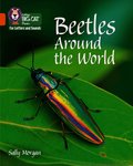 Beetles Around the World