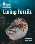 Living Fossils