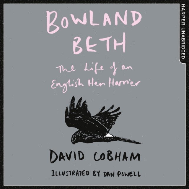 David Cobham - Bowland Beth, Ljudbok