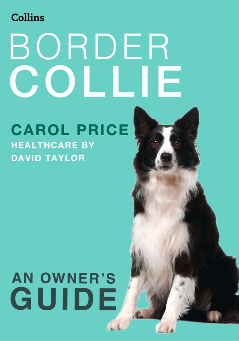 Carol Price - Border Collie, E-bok
