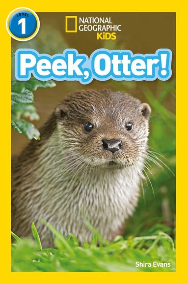 Shira Evans, National Geographic Kids - Peek, Otter!, Häftad