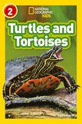 Turtles and Tortoises