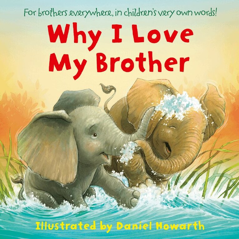 Why I Love My Brother, E-bok