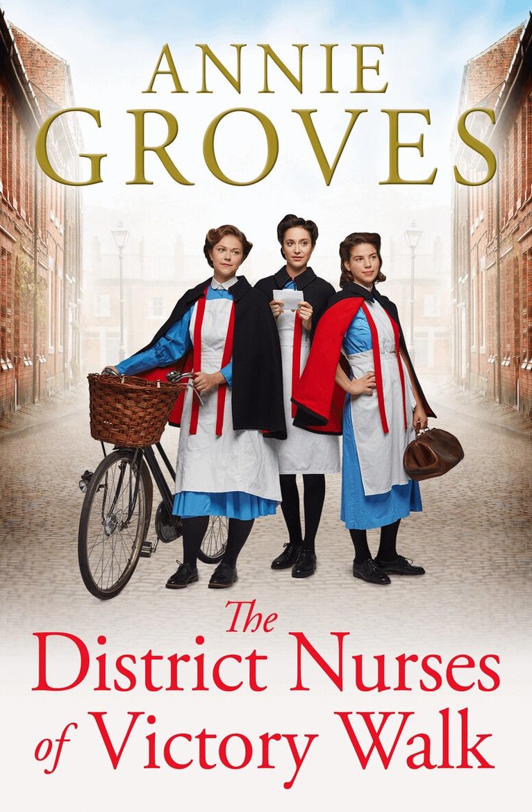 Annie Groves - District Nurses of Victory Walk, E-bok