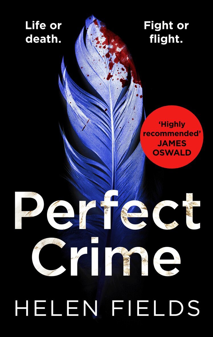 Helen Fields - Perfect Crime, E-bok