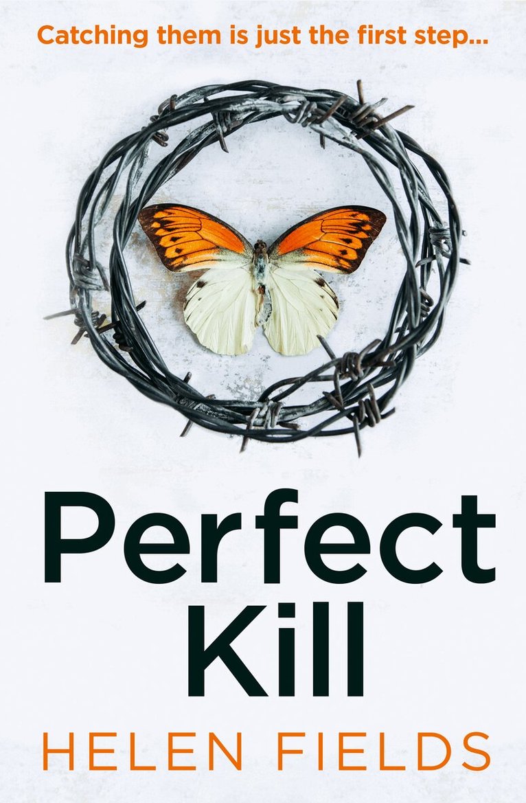 Helen Fields - Perfect Kill, E-bok