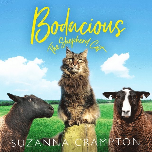 Suzanna Crampton - Bodacious: The Shepherd Cat, Ljudbok. Tillgänglighet: Lägg i varukorg