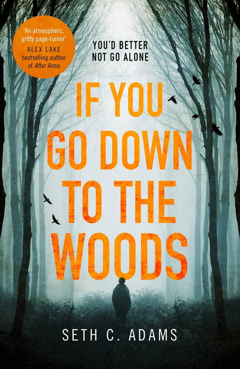 Seth C. Adams - If You Go Down to the Woods, E-bok
