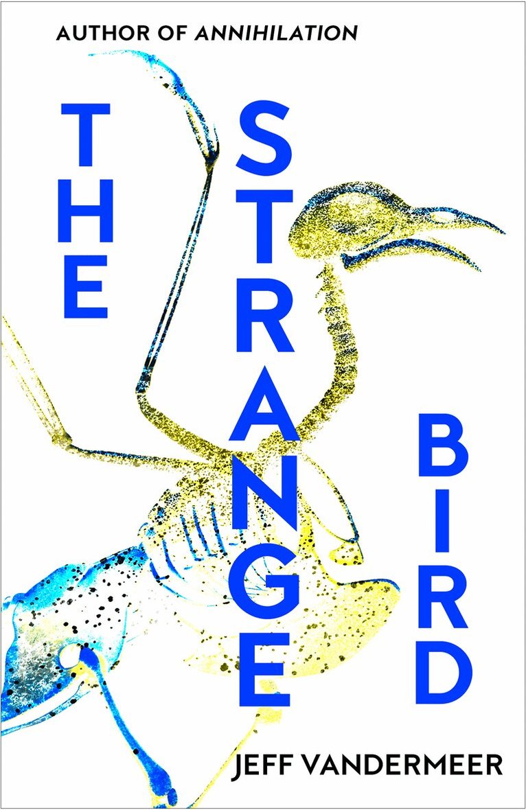 Jeff VanderMeer - Strange Bird, E-bok
