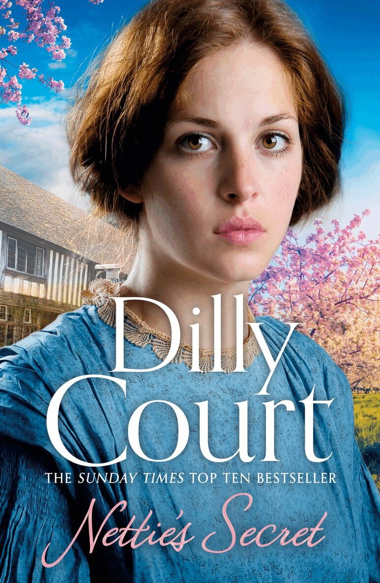 Dilly Court - Nettie’s Secret, E-bok