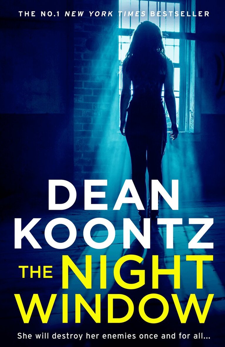 Dean Koontz - Night Window, E-bok