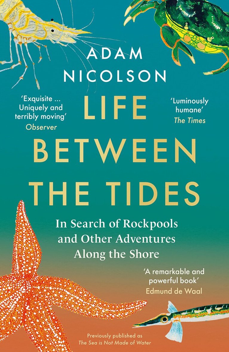 Adam Nicolson - Life Between the Tides, E-bok
