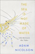 Life Between the Tides