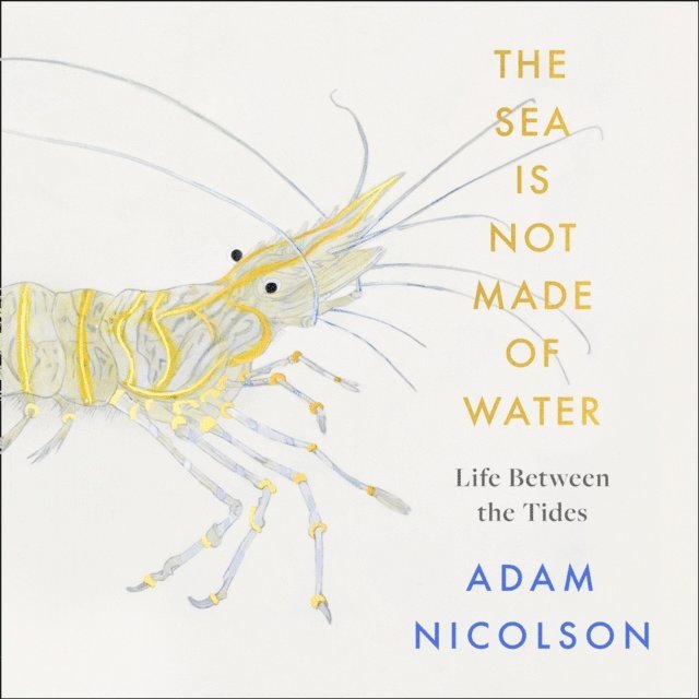 Adam Nicolson - Life Between the Tides, Ljudbok