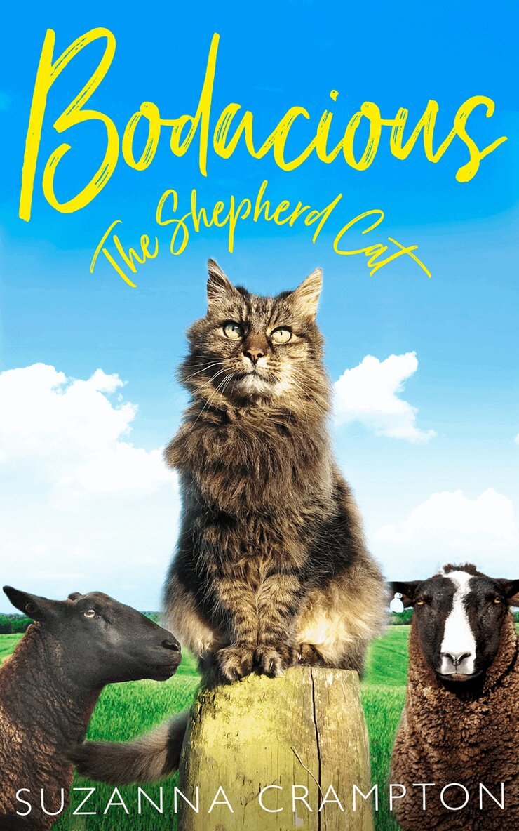 Suzanna Crampton - Bodacious: The Shepherd Cat, Häftad. Tillgänglighet: Lägg i varukorg