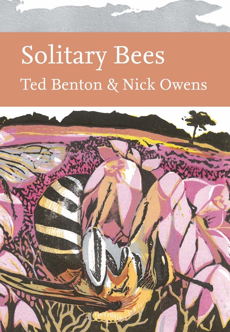 Ted Benton, Nick Owens - Solitary Bees, E-bok