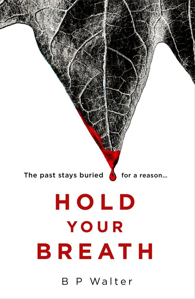 B P Walter - Hold Your Breath, E-bok