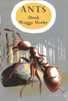 Derek Wragge Morley - ANTS_NN MONOGRAPH LIB8 OM, Övrigt