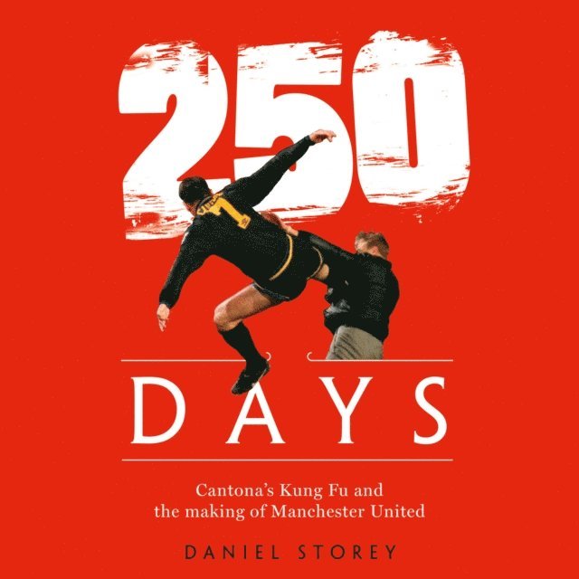 Daniel Storey - 250 Days, Ljudbok