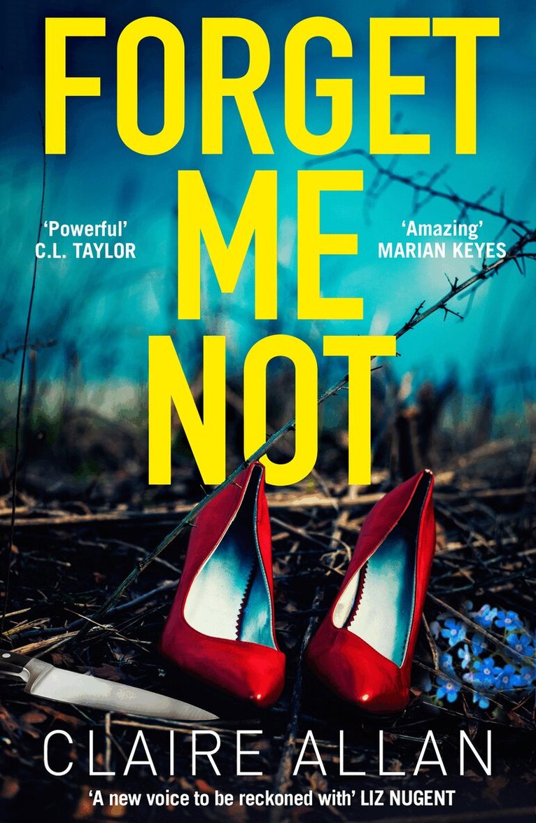 Claire Allan - Forget Me Not, E-bok